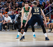 Ignas Brazdeikis