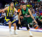 Stambulo &bdquo;Fenerbahče&ldquo; &ndash; Atėnų "Panathinaikos" 