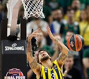 Stambulo &bdquo;Fenerbahče&ldquo; &ndash; Atėnų "Panathinaikos" 
