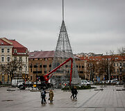 Sostinės Katedros aik&scaron;tėje statoma kalėdinė eglė