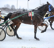 Vigimantas Perednikas