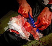 Atranka į antiteroristinių operacijų rinktinę &bdquo;Aras&ldquo;