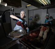 Karolina Ginčienė, teismo medicinos ekspertė