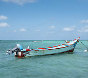 Tokiomis valtimis gyventojai plaukia į jūrą gaudyti žuvies