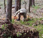Kandidatų į Lietuvių legioną atranką ir apmokymai Lietuvoje  / 2023  m. gegužė
