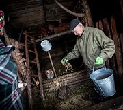 Žiema Romualdo ir Antaninos sodyboje Musteikoje