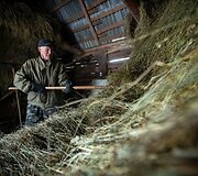 Žiema Romualdo ir Antaninos sodyboje Musteikoje