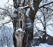 Stojų kaimas (Varėnos rajonas)