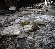 &Scaron;alia Mai&scaron;iagalos padegtas nelegalus sąvartynas