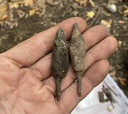 Trakų pusiasalio pilies archeologinių tyrimų metu aptikti radiniai