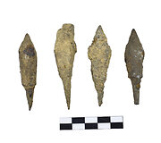 Trakų pusiasalio pilies archeologinių tyrimų metu aptikti radiniai