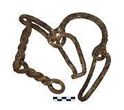Trakų pusiasalio pilies archeologinių tyrimų metu aptikti radiniai