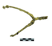 Trakų pusiasalio pilies archeologinių tyrimų metu aptikti radiniai