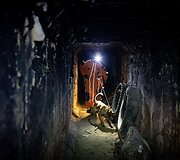 LERT komandos kinologai ir gelbėtojai treniruojasi po griuvėsiais ie&scaron;koti i&scaron;gyvenusių žmonių