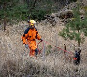 LERT komandos kinologai ir gelbėtojai treniruojasi po griuvėsiais ie&scaron;koti i&scaron;gyvenusių žmonių