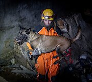 LERT komandos kinologai ir gelbėtojai treniruojasi po griuvėsiais ie&scaron;koti i&scaron;gyvenusių žmonių