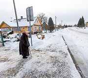Aliutė i&scaron; Kabelių kaimo (Varėnos r.) laukia atvažiuojant Antanėlio 