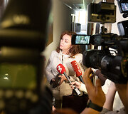 Seimo narė Daiva Petkevičienė komentuoja pas ją  atliktas kratas