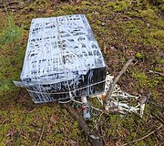 VU studentai praktikos metu &scaron;alia Puvočių (Varėnos raj.) aptiko kontrabandinių cigarečių krovinį