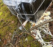 VU studentai praktikos metu &scaron;alia Puvočių (Varėnos raj.) aptiko kontrabandinių cigarečių krovinį