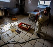 Žuvies kelias: nuo mažo Ventės žvejų laivo iki jūsų lėk&scaron;tės 