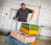 Žuvies kelias: nuo mažo Ventės žvejų laivo iki jūsų lėk&scaron;tės 