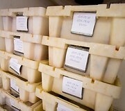 Žuvies kelias: nuo mažo Ventės žvejų laivo iki jūsų lėk&scaron;tės 
