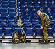 Kinologas su tarnybiniu &scaron;unimi ie&scaron;ko sprogmenų
