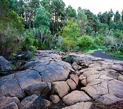Sustingusi lava