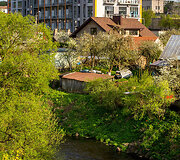 Markučiai