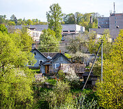 Markučiai