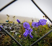 Nordkapas - &scaron;iauriausia Europos vieta vadinamas ta&scaron;kas