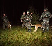 Nelegalų sulaikymo operacija Baltarusijos pasienyje
