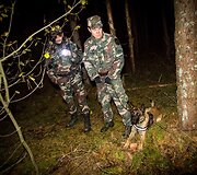 Nelegalų sulaikymo operacija Baltarusijos pasienyje