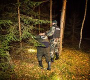 Nelegalų sulaikymo operacija Baltarusijos pasienyje