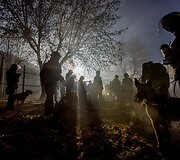 Vie&scaron;ojo saugumo tarnybos kinologai