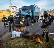 Vie&scaron;ojo saugumo tarnybos kinologai