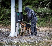 Antiteroristinės rinktinės &bdquo;Aras&ldquo; i&scaron;minuotojas