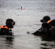 Povandeninių veiksmų komandos sprogmenų specialistai 