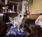 Per ap&scaron;audymus gyvenimas namuose nesustoja. Į rūsį bėgama tik retais atvejais. 
