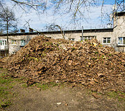 Pernyk&scaron;čių lapų krūva sostinės Aduti&scaron;kio gatvėje