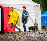 Lietus festivalio &bdquo;Sūpynės&ldquo; teritoriją pavertė purvo klampyne