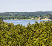 Vaizdas nuo Labanoro regioninio parko apžvalgos bok&scaron;to