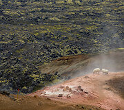 Spalvotieji &ndash; Landmannalaugar kalnai Islandijoje
