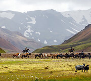Spalvotieji &ndash; Landmannalaugar kalnai Islandijoje