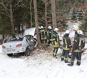 Girto vaikino vairuojamas automobilis rėžėsi į medį