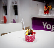 Yogoland
