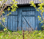 Anyk&scaron;čiai