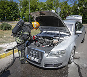 Sostinės Pieninės gatvėje gelbėtojai gesino automobilį