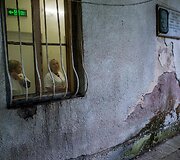 Bulgarijos psichiatrijos ligoninė